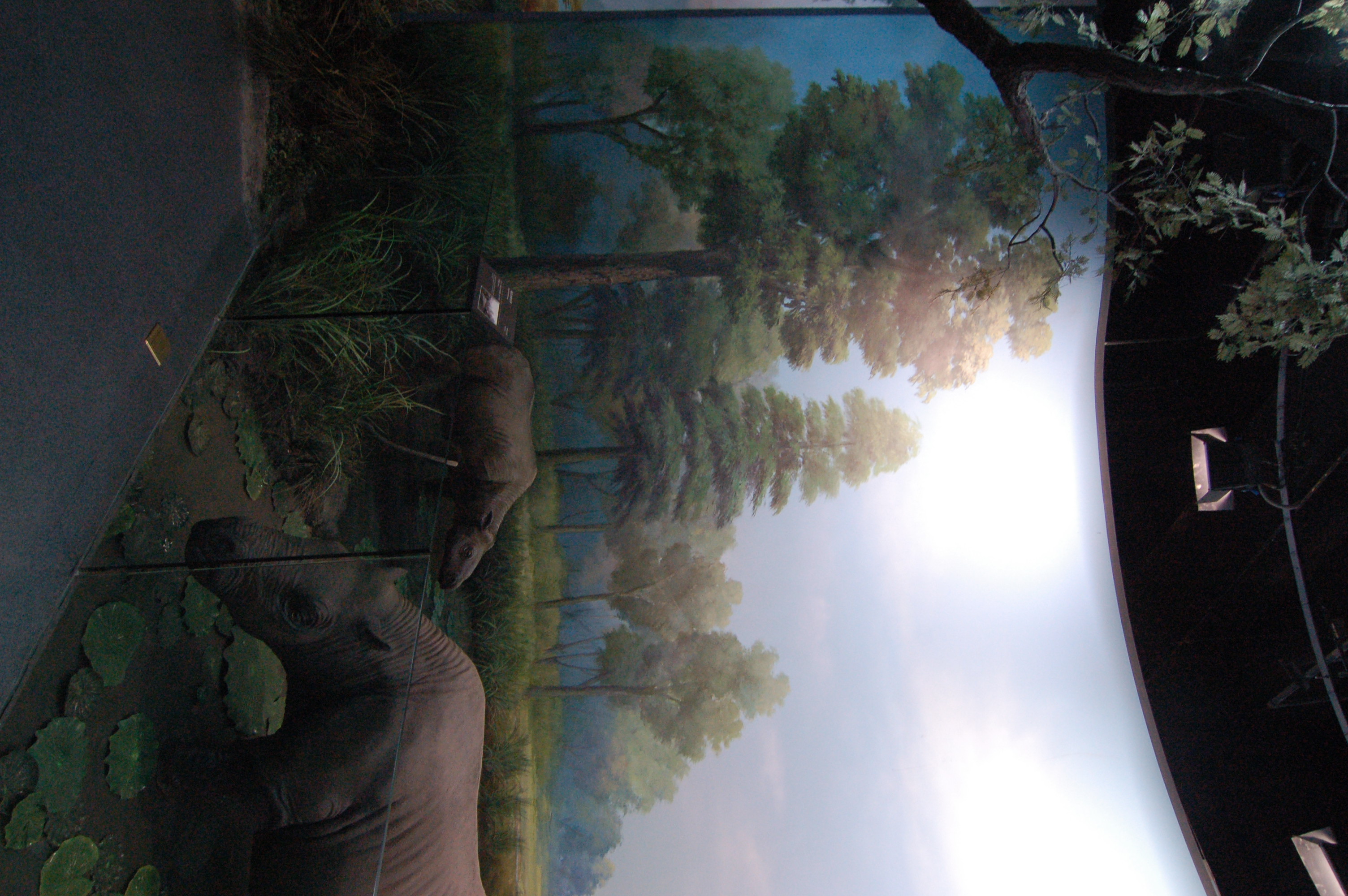 博物馆城市规划馆-5