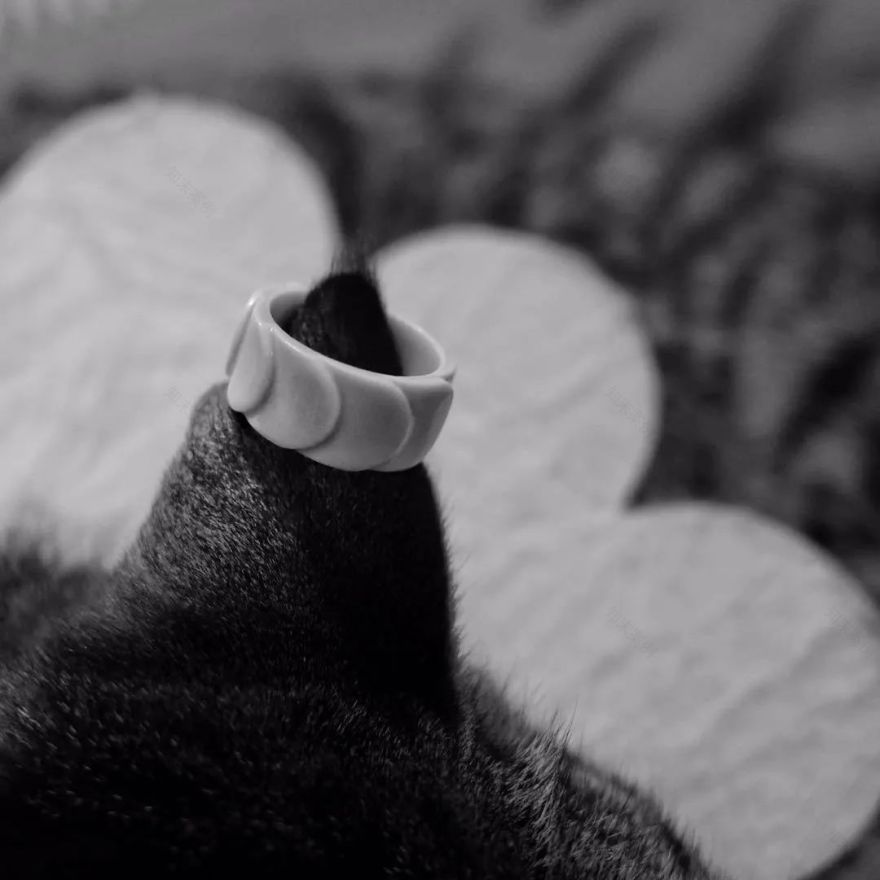 《温柔时刻》买家秀,分享生活中的美好瞬间-11