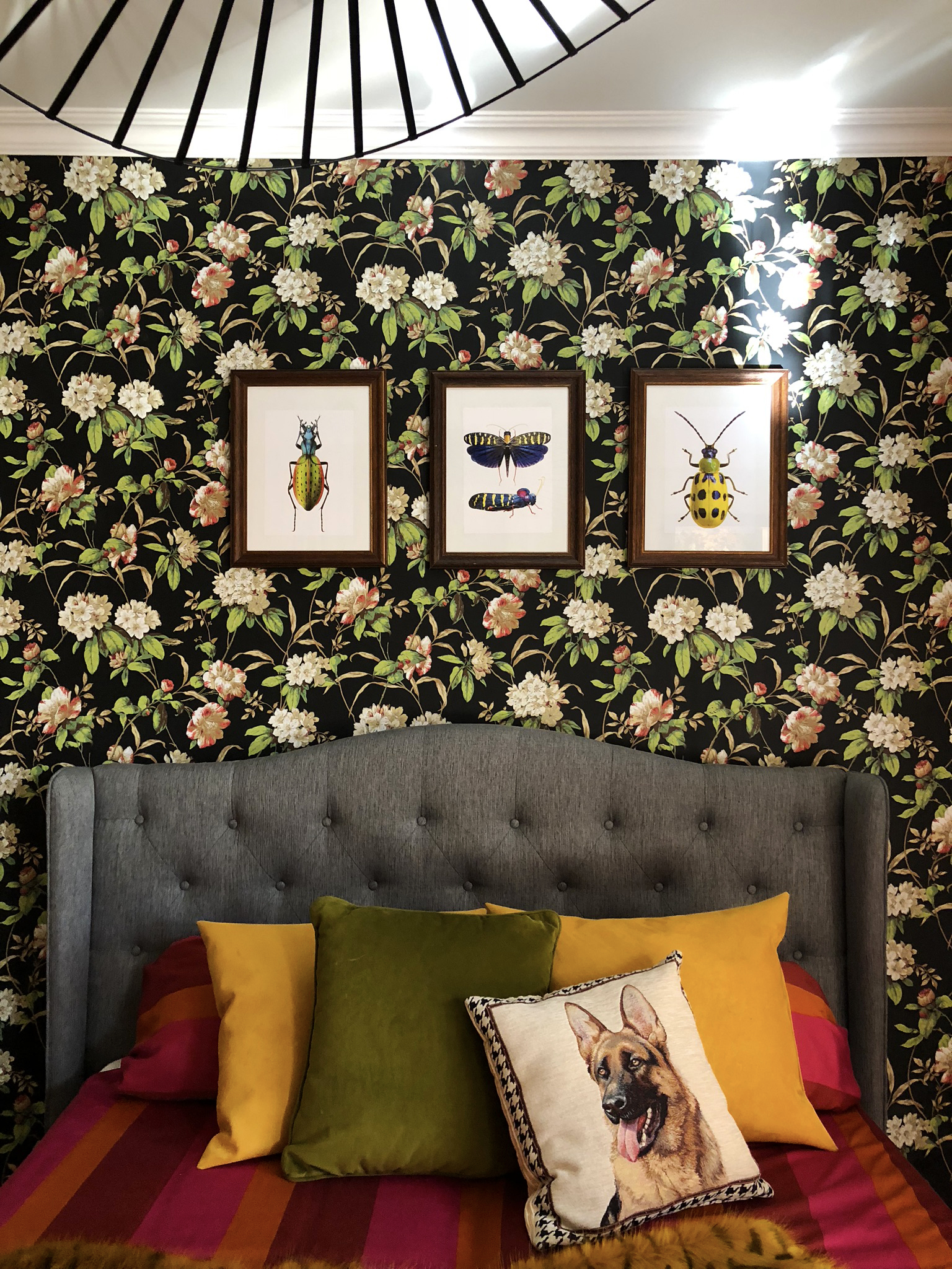 这所房子；这座住宅（注：根据语境不同，这里的house可能有多种具体指向，这所房子这座住宅都比较常见，更精准的含义需结合前后来确定，但此处按要求提供单一翻译仅举例这所房子 ）

在一般语境下，常见翻译为 这所房子  -19