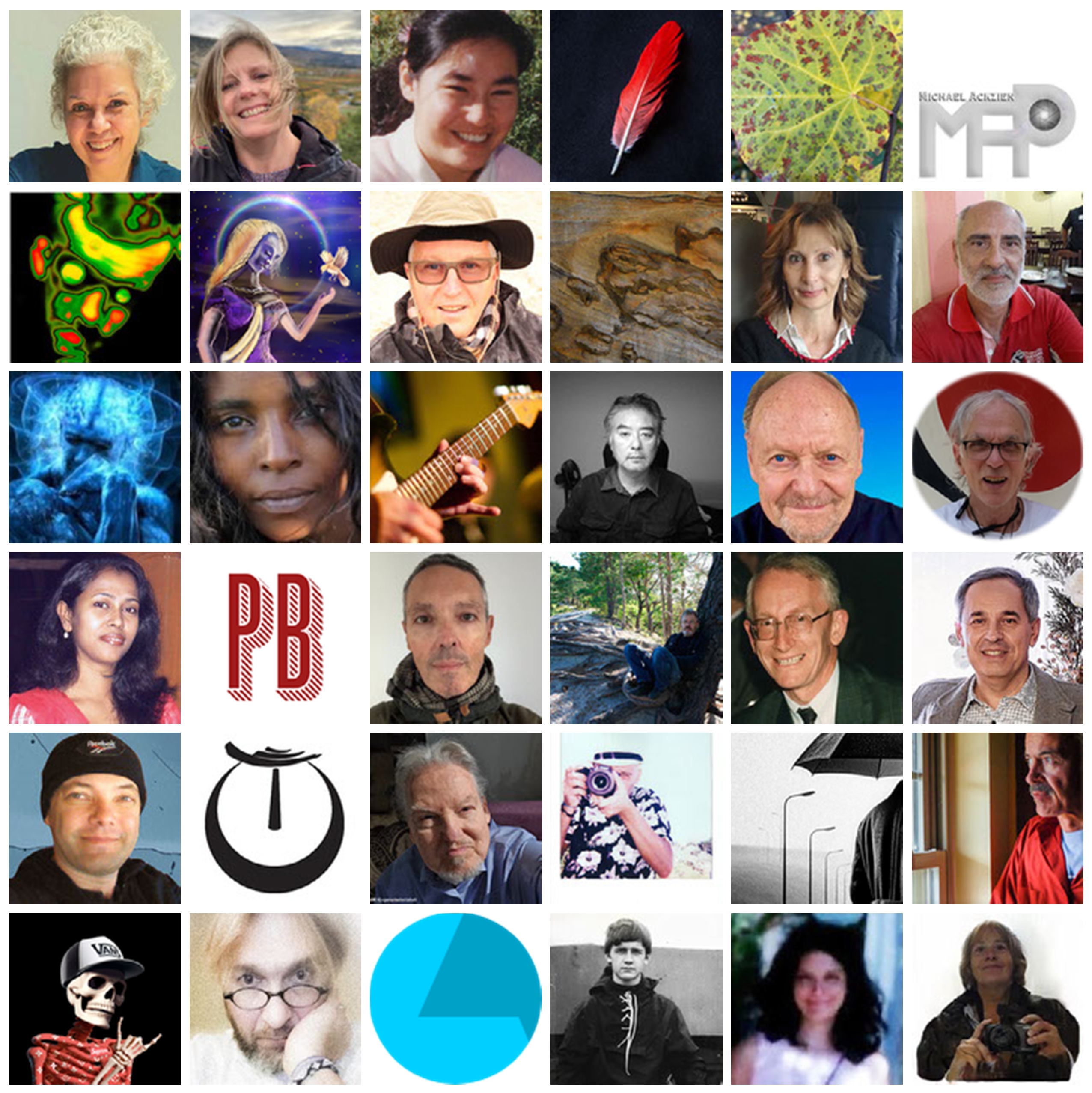 世界上的树木丨Sylvie D.-297