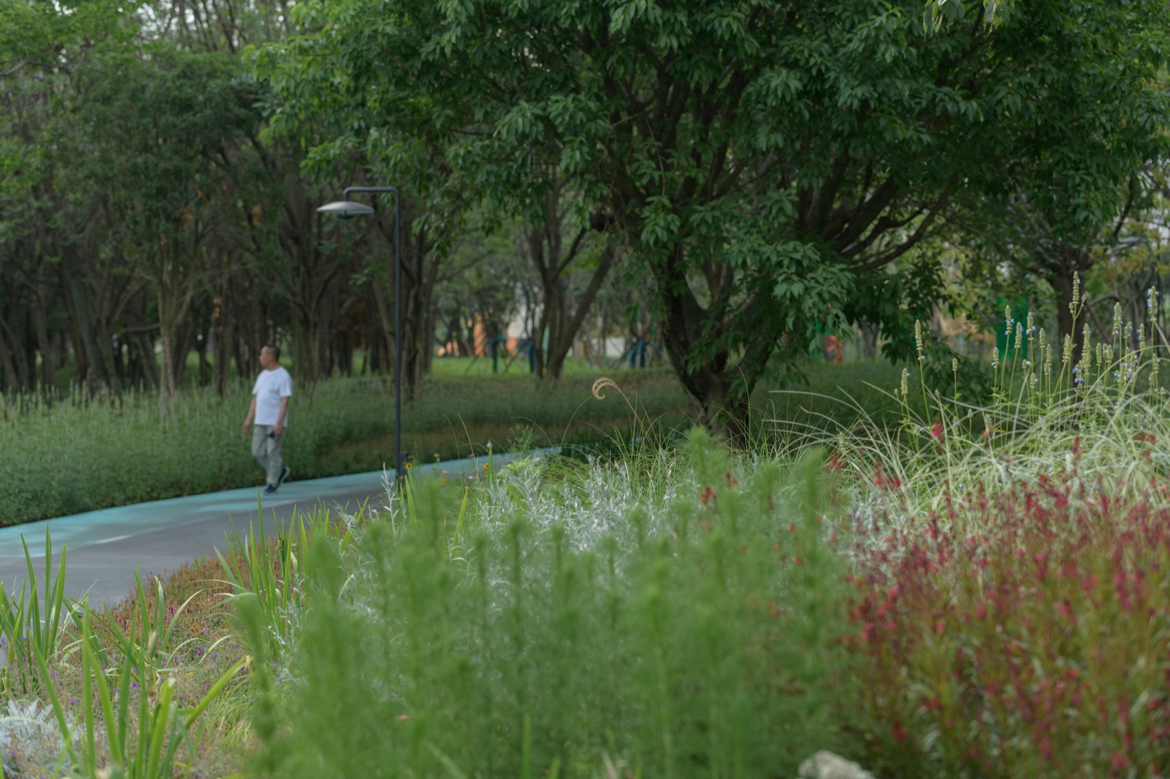 成都趣野公园（屋头公园）丨中国成都丨大小景观-224