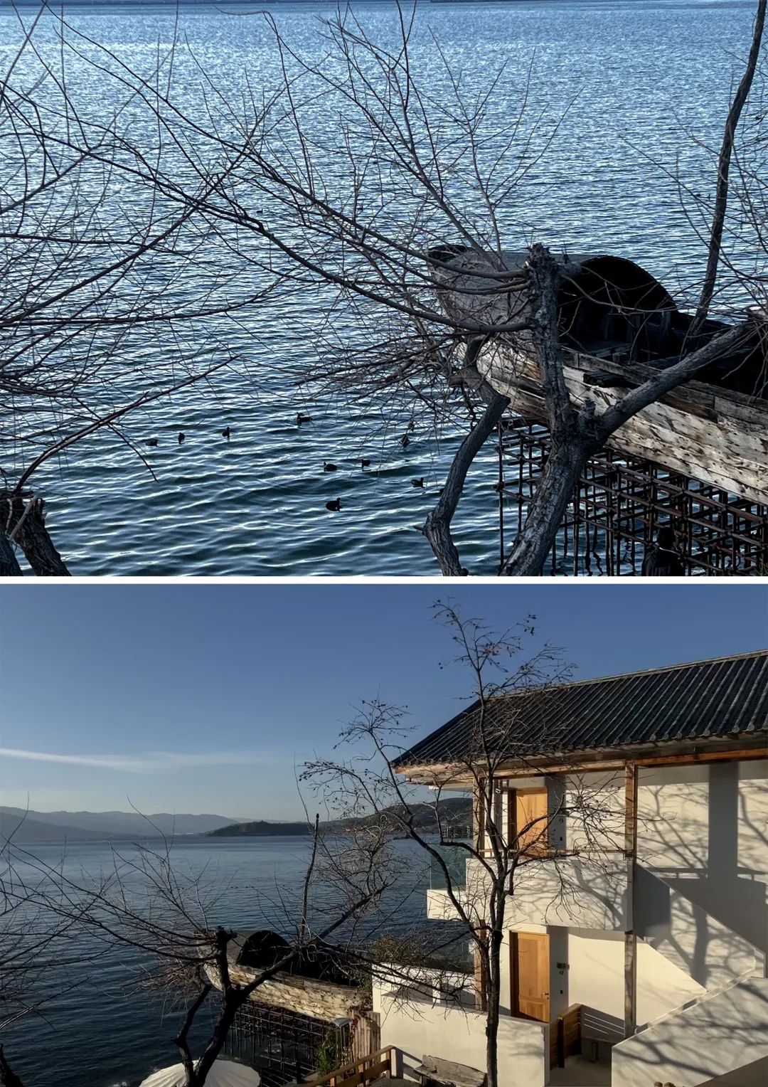 MS·MORE 的诗意人生丨中国重庆丨MS·MORE 创始人-70