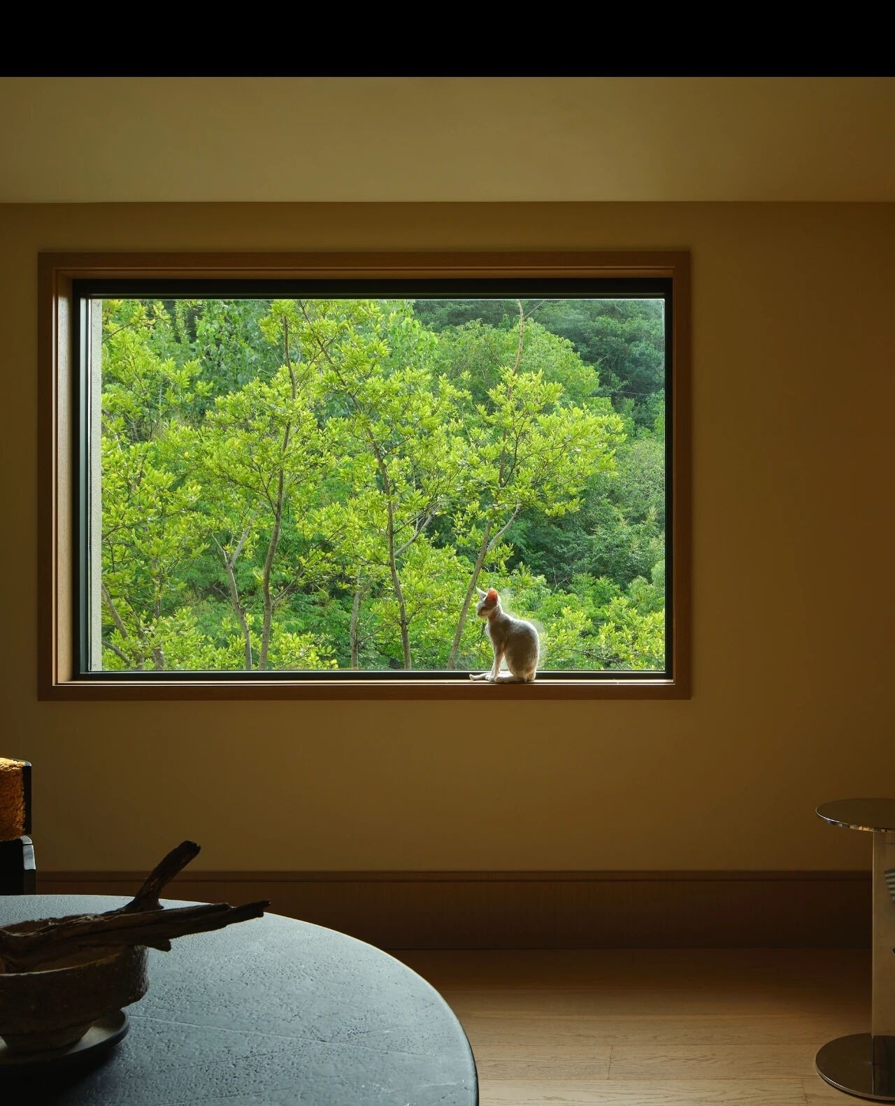 栖所:与自然和毛孩的对话丨中国南京丨读白设计-7