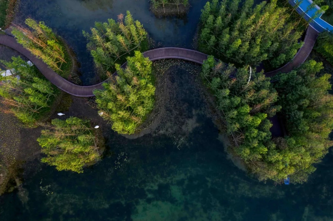 L&A Design Named as Winners in 2021 Excellent Engineering Survey and Design Project of Sichuan Province – Two Awards - L&A News - L&A GROUP | To Create a Better Environment-9