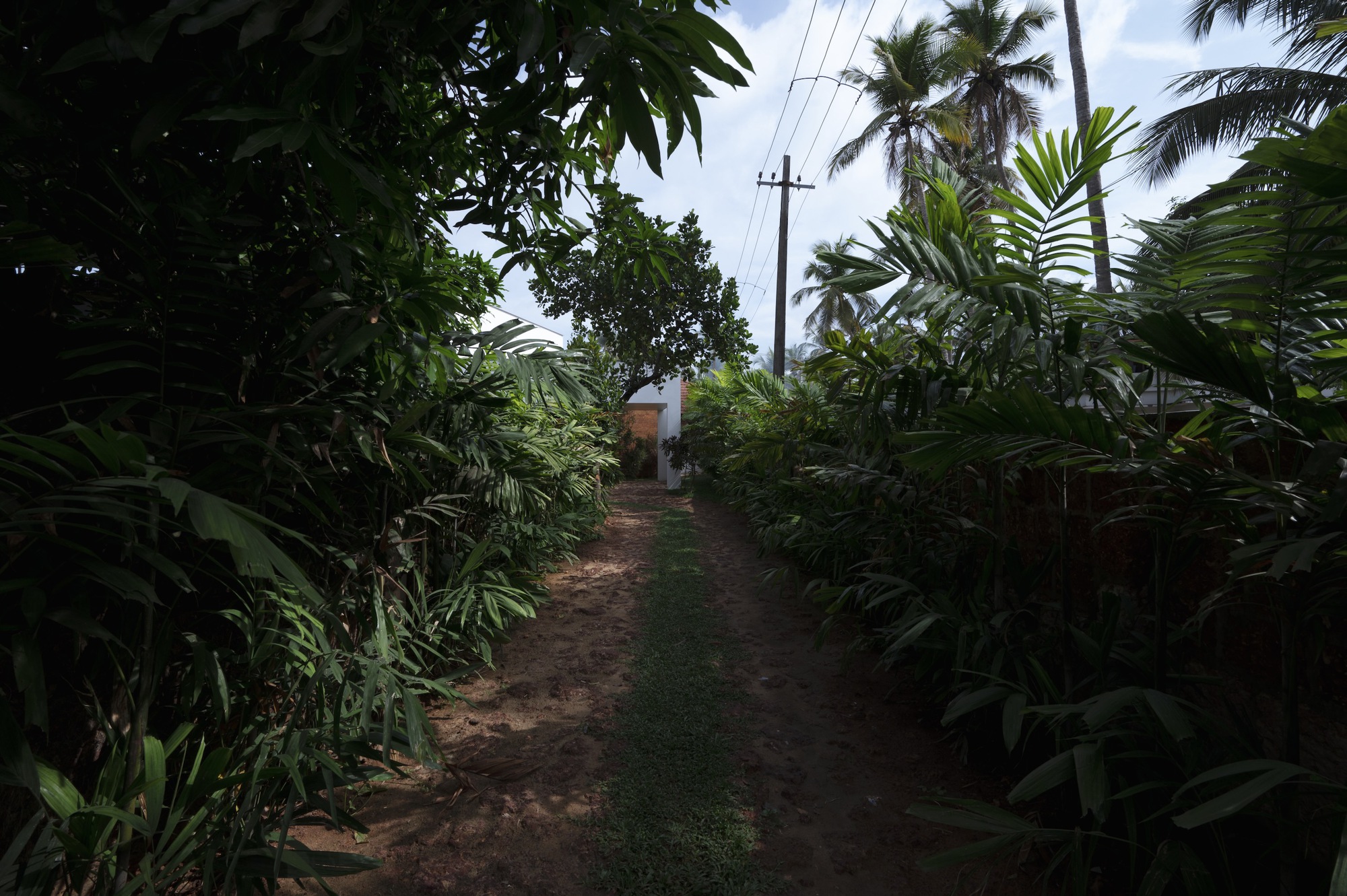 后院的房子丨印度丨3dor Concepts-31