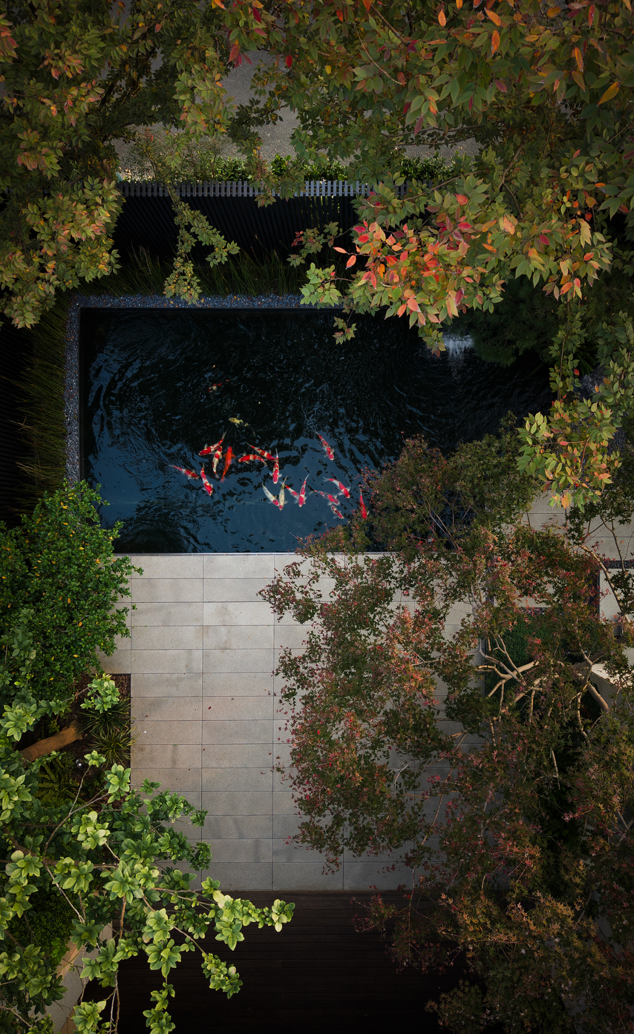 绿地太湖城丨中国苏州丨朱墨及团队（冯焕茹,熊杰等）-0