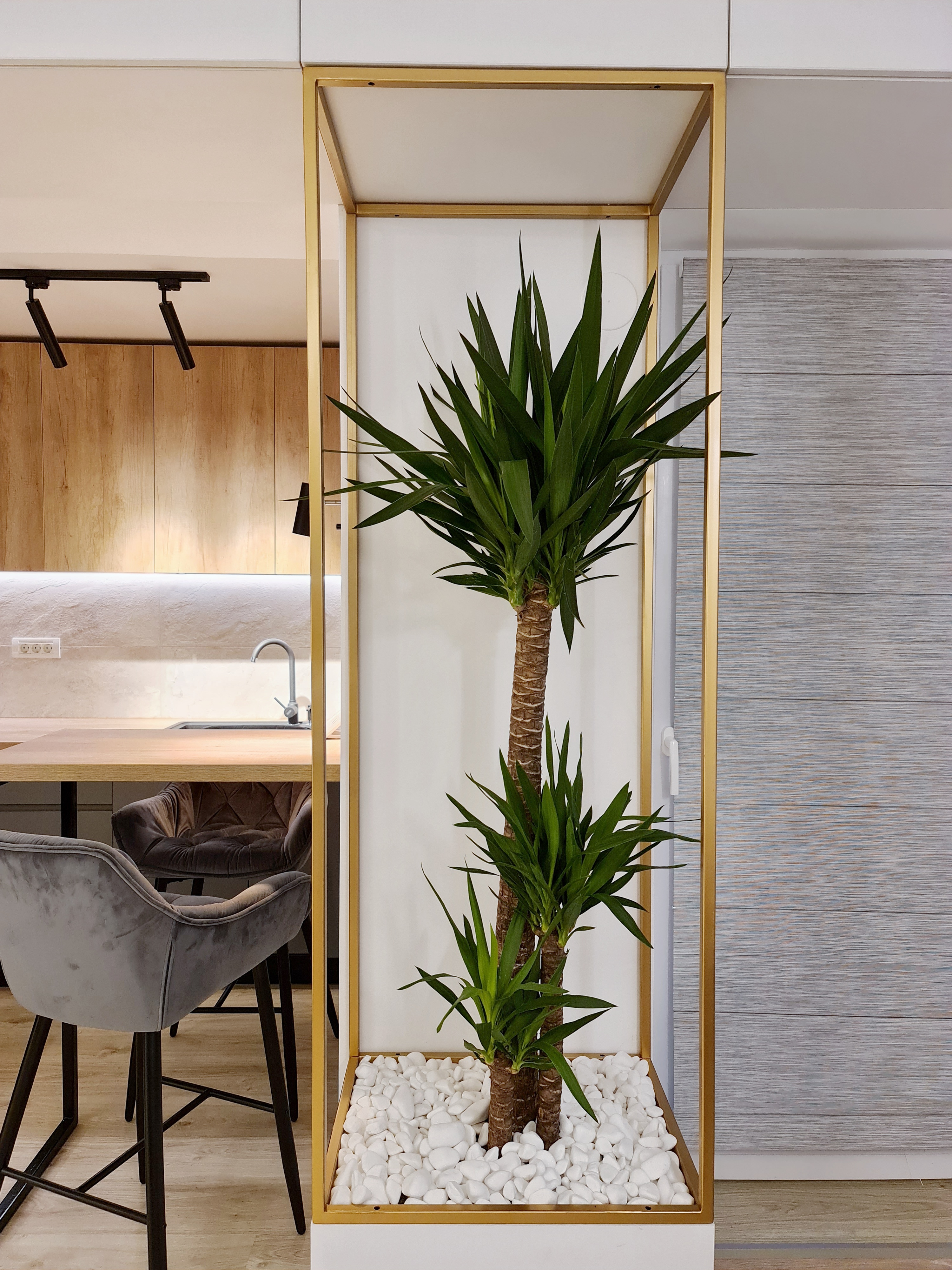 Finished Apartment-11