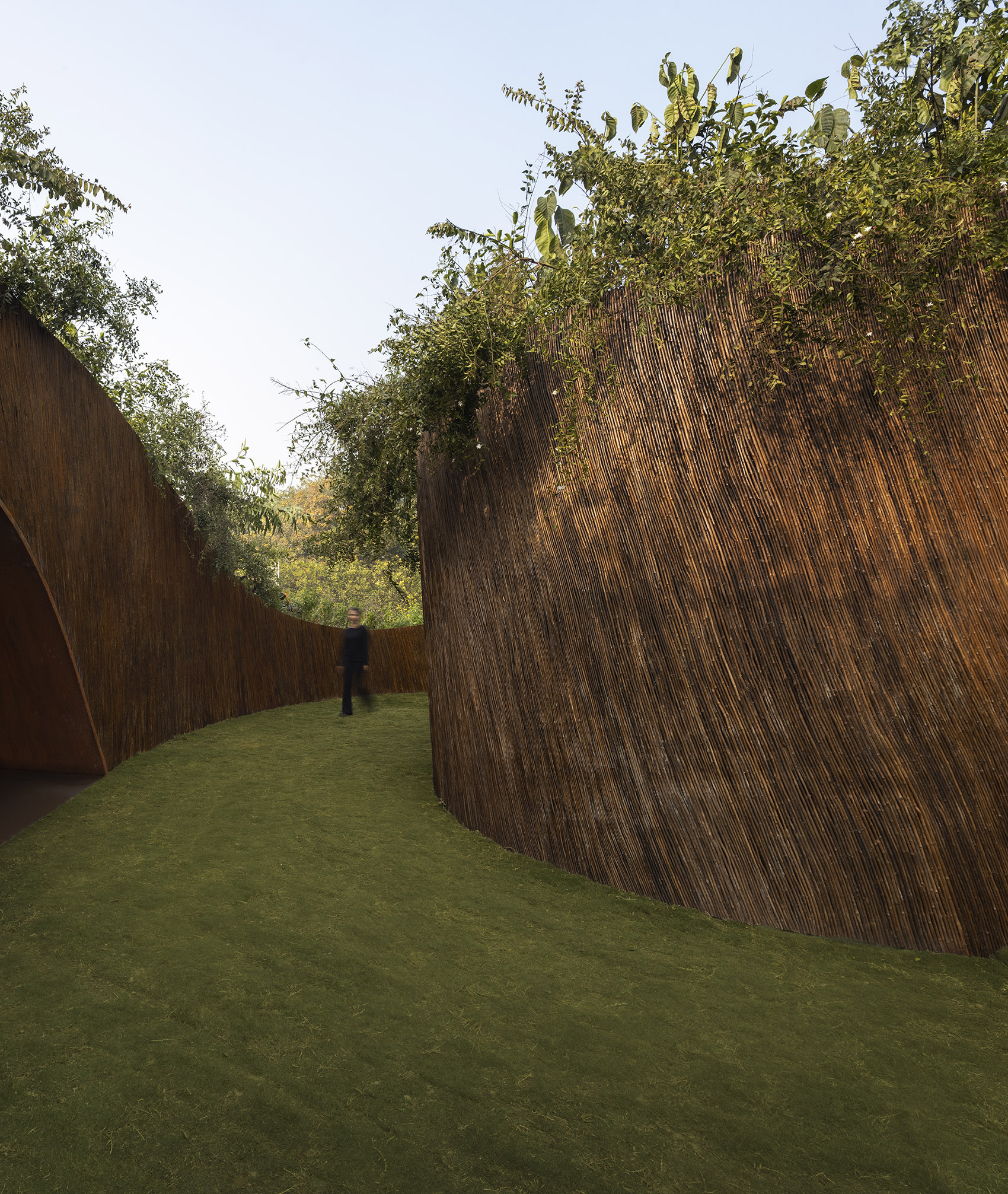 阿兰雅尼展亭，印度 /  T__M.space-17