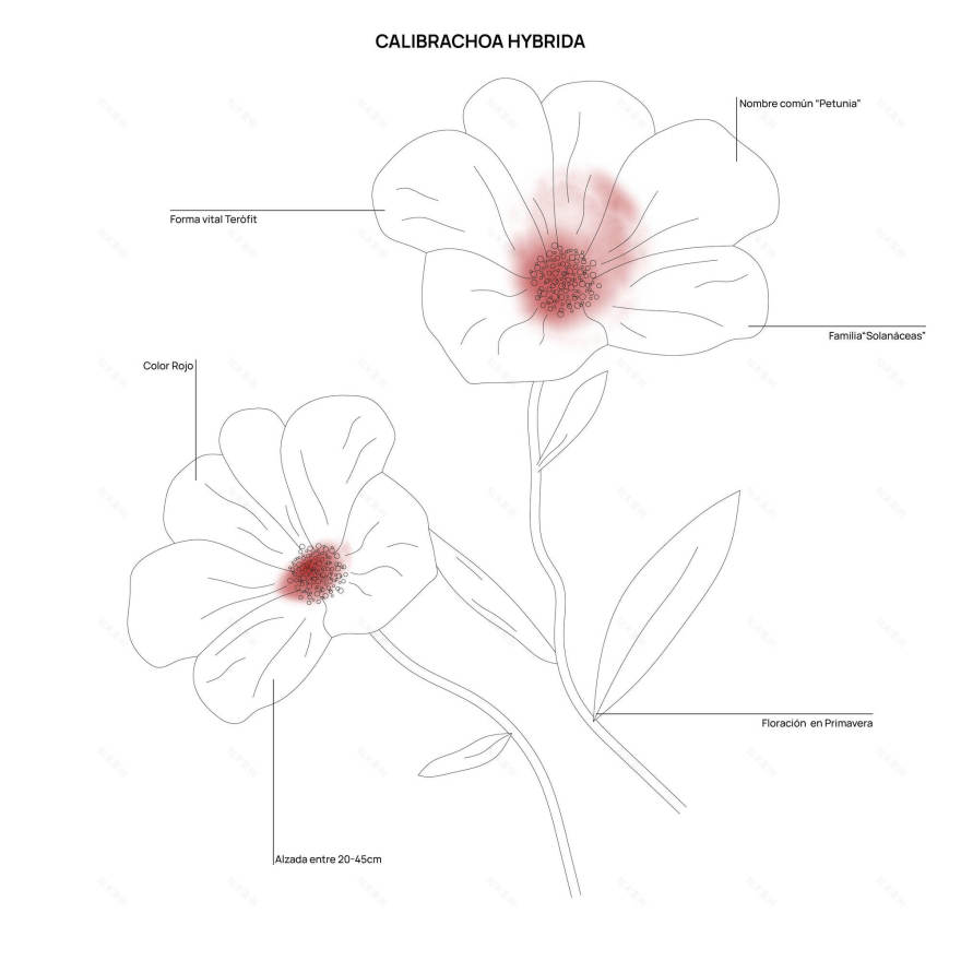 演讲者设施安装丨西班牙赫罗纳丨Eric Moya + Sílvia Prujà-11