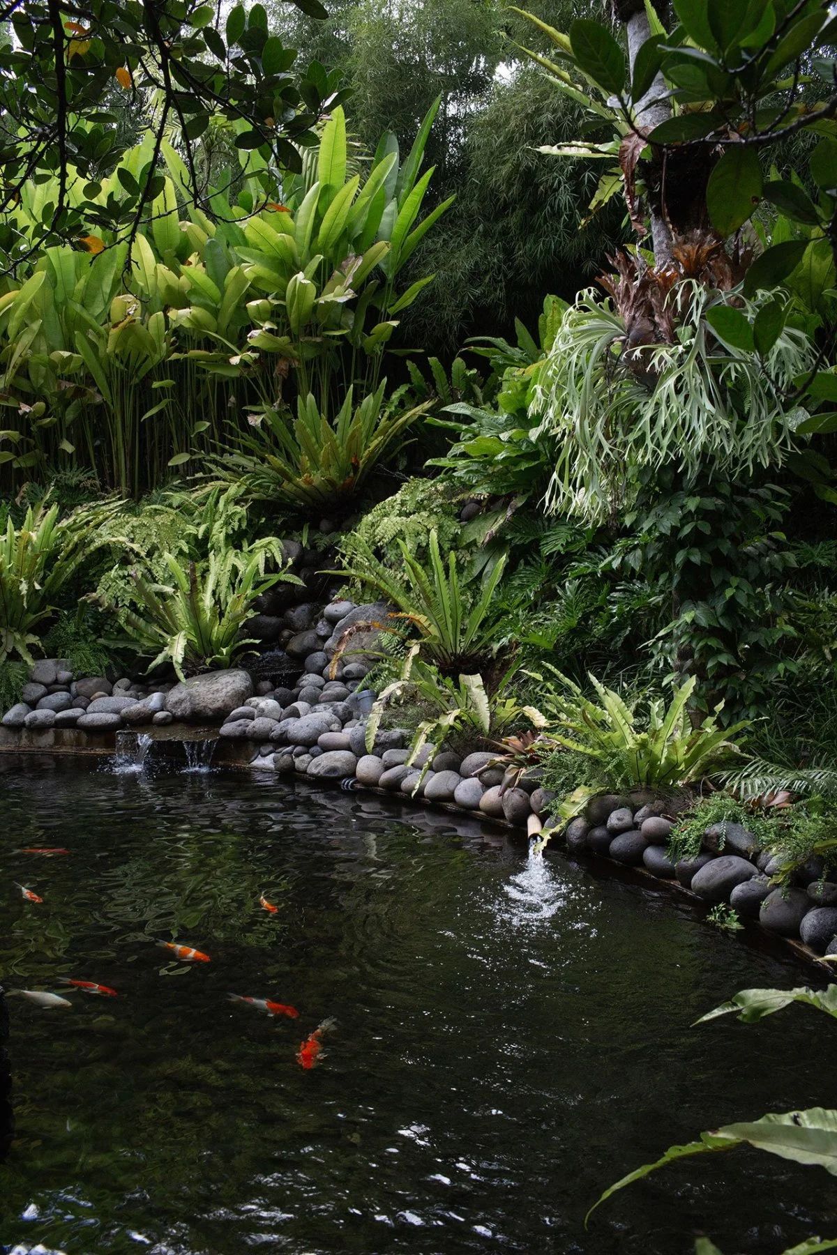 法加尔之家丨印度丨Studio Jencquel-26