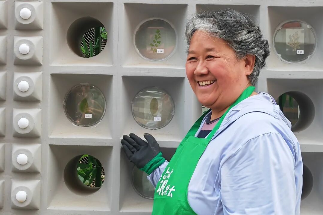 从课堂到街区更新实践！园林学院师生携手居民共建街巷“博物馆”-65