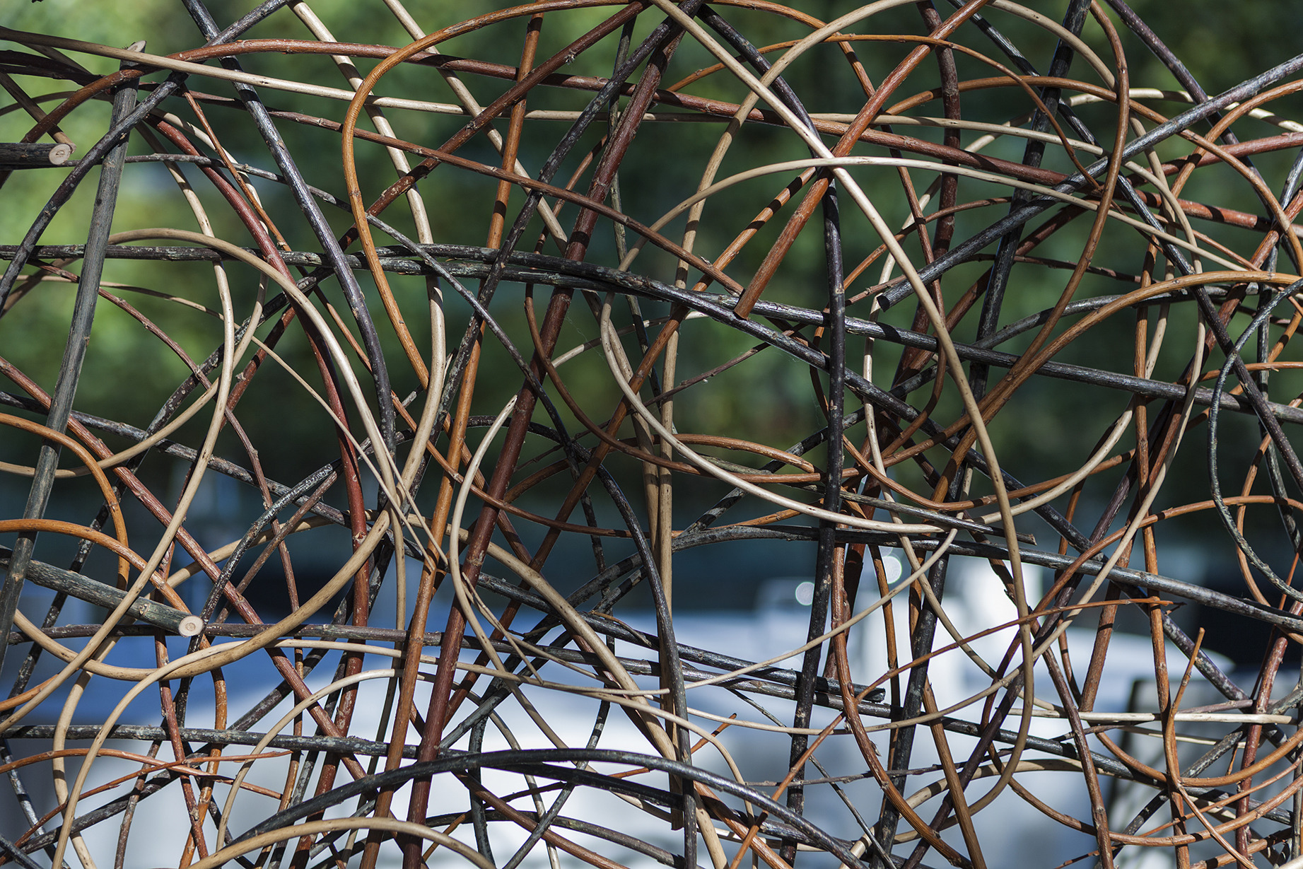 米其林星级餐厅“La Boscana”的自然有机空间-6