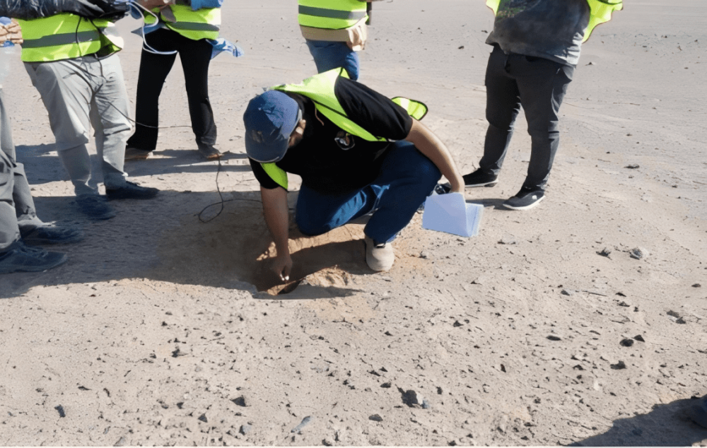 优秀项目部风采|守护红海沙漠生态：埃及风电项目的绿色实践-17