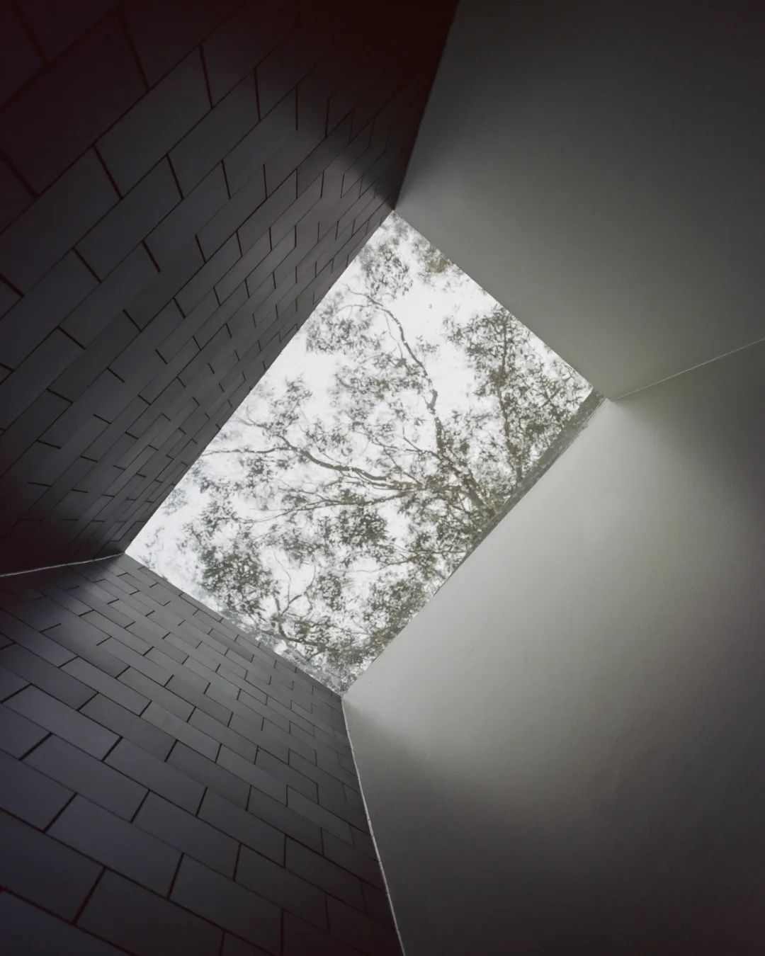 莫斯曼宅邸丨澳大利亚悉尼丨Lachlan Seegers Architect-20