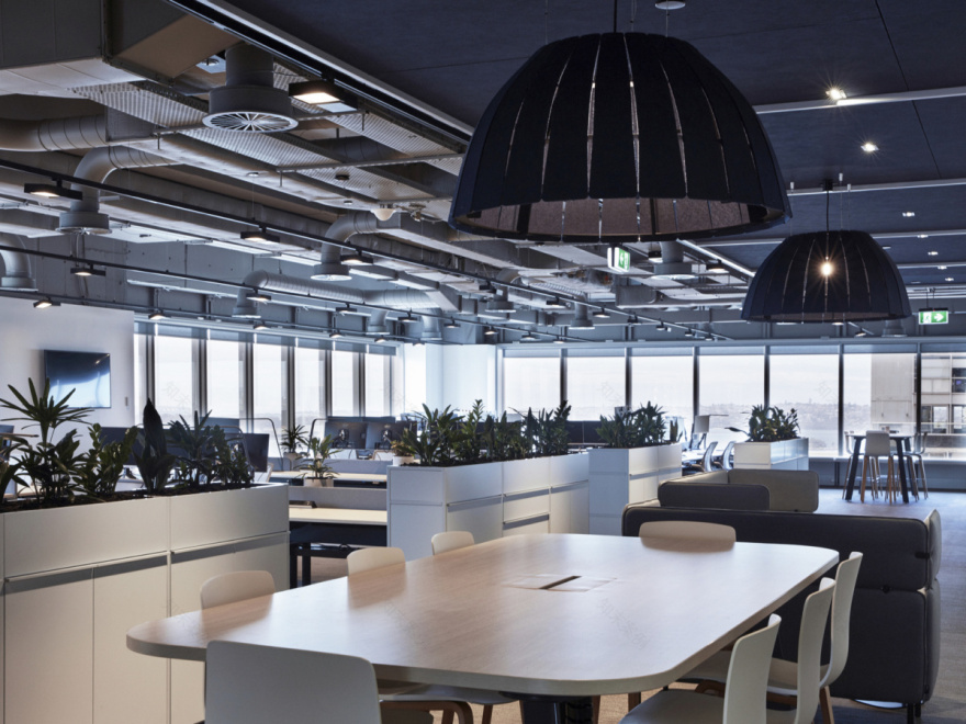 Wilson Asset Management 悉尼办公室 - 打造金融公司的独特品牌文化-15