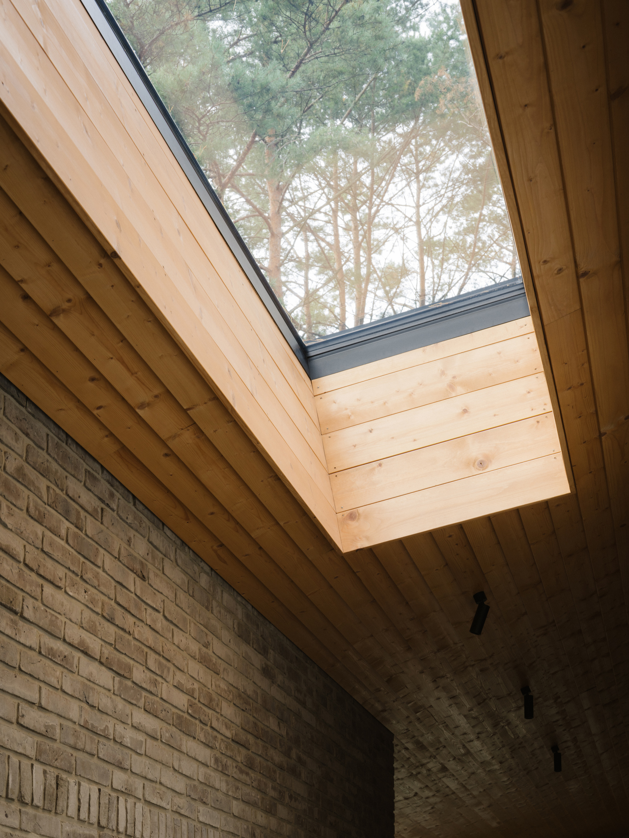 Residence on the Edge of National Forest / Studio GAB-39