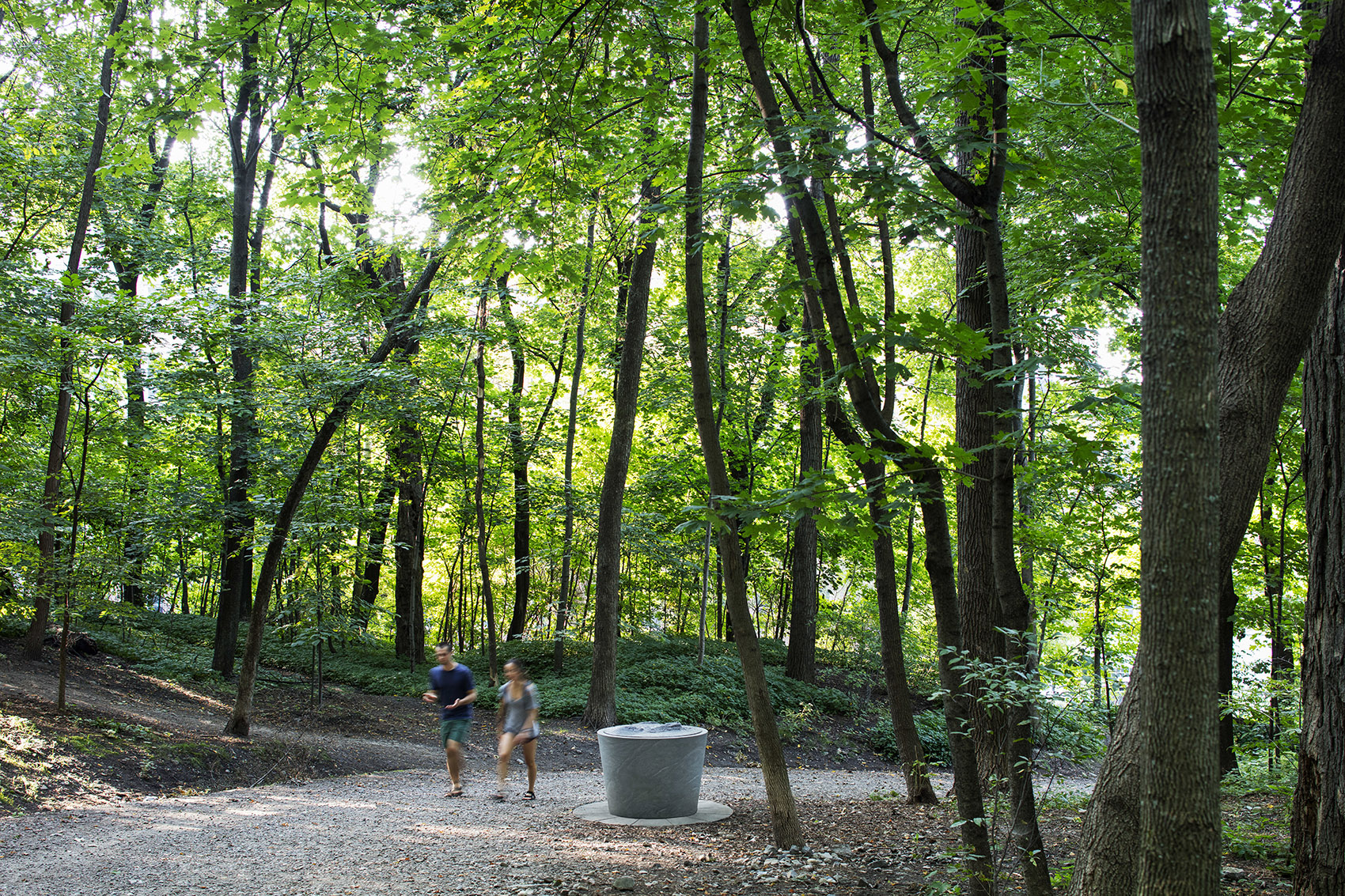 蒙特利尔 Mount Royal 遗址景观改造-2