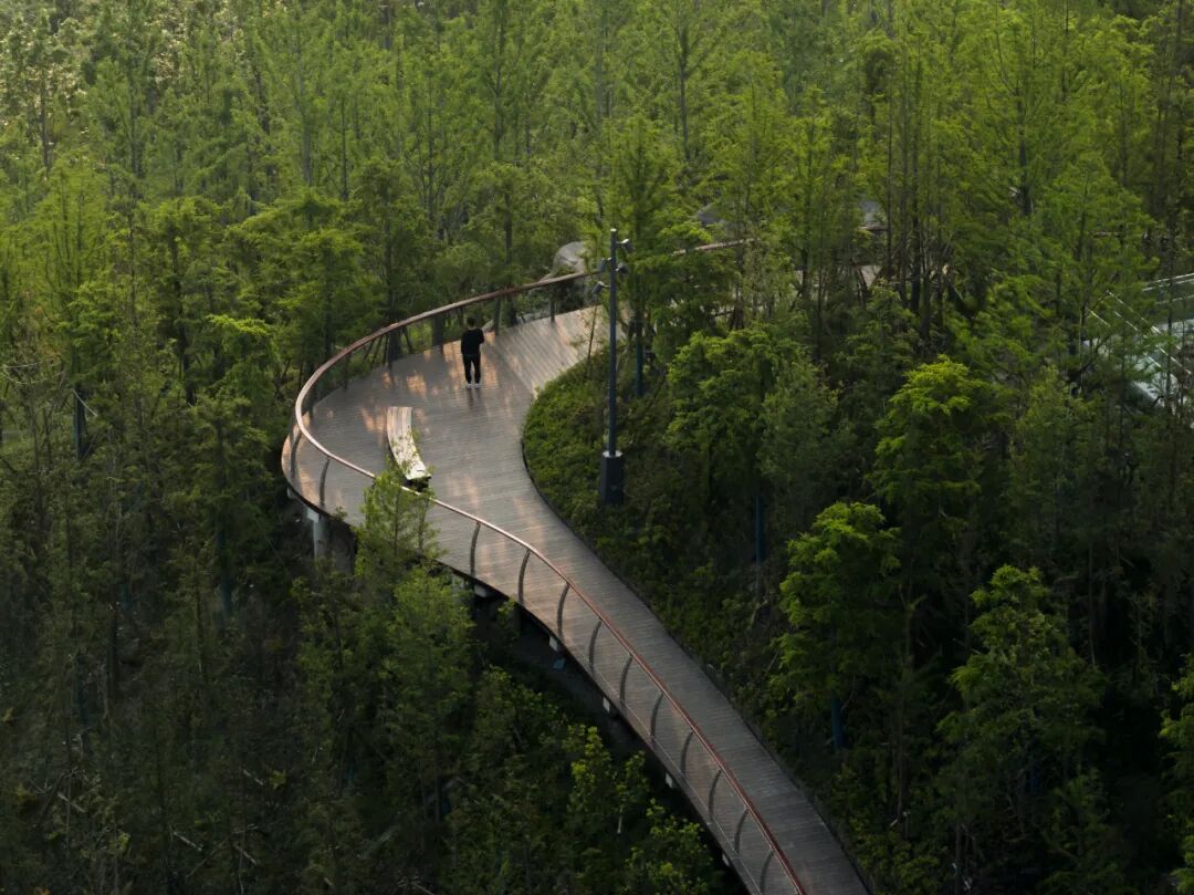 A-TECH•项目丨虽由人作，宛若天成：全新人工构筑近自然山体景观设计探索——上海世博文化公园“双子山”景观工程-123