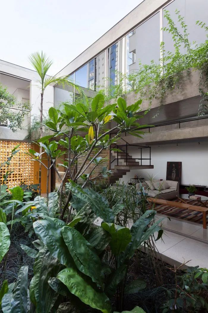 Jardins 之家丨巴西圣保罗丨CR2 Arquitetura-35