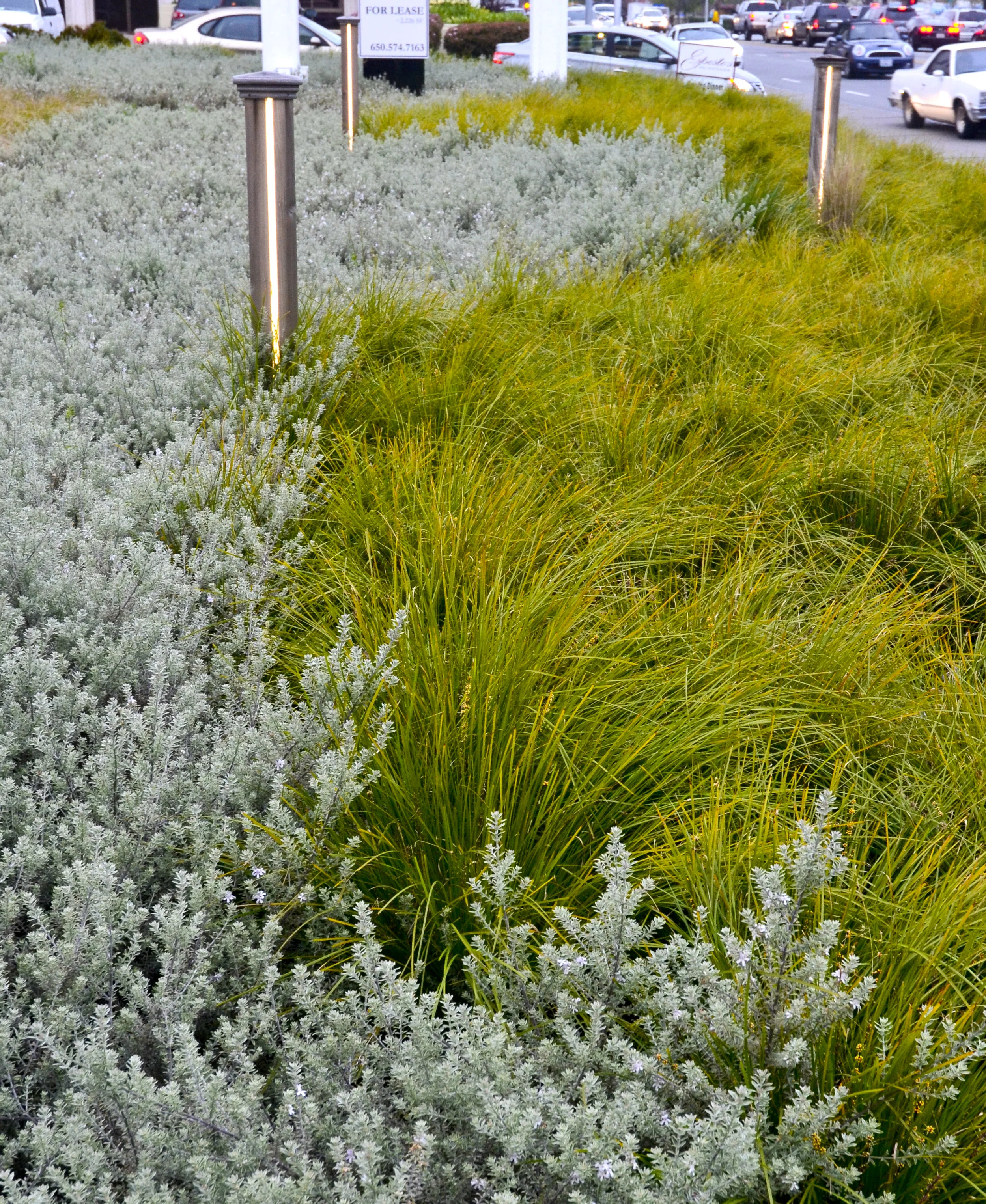 JACKS RESTAURANT — Studio Green-2