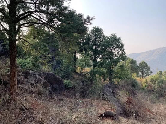 汉华天马山温泉酒店-90