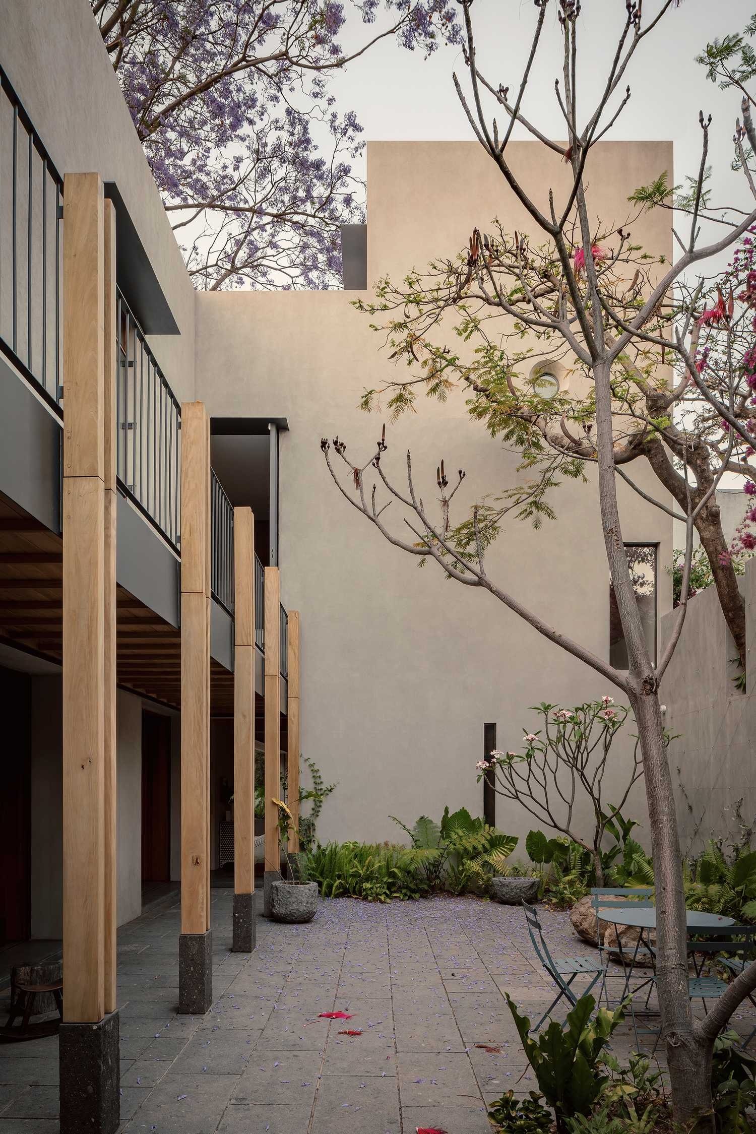 墨西哥CASA MOLUSCO PANTERA住宅-6