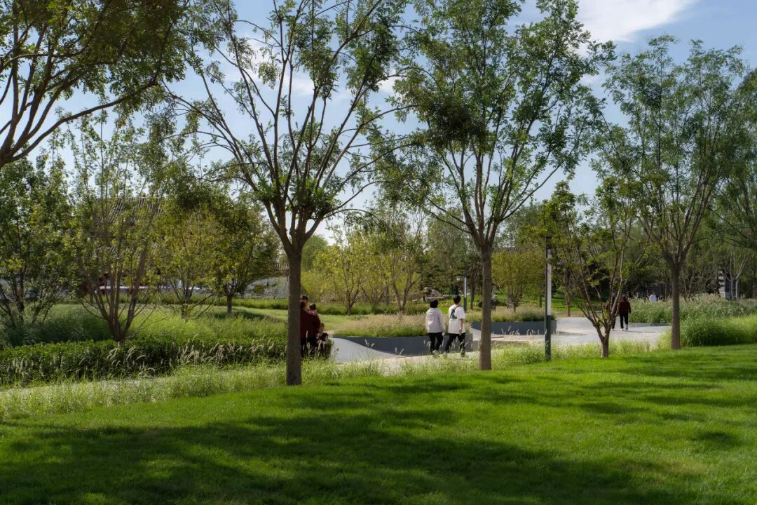 喜讯| 笛东荣获2025-2026年度河北省园林优秀设计一等奖-42