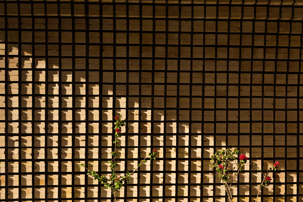 伊朗德兹富尔住宅区设计丨BioDesign Architects-47