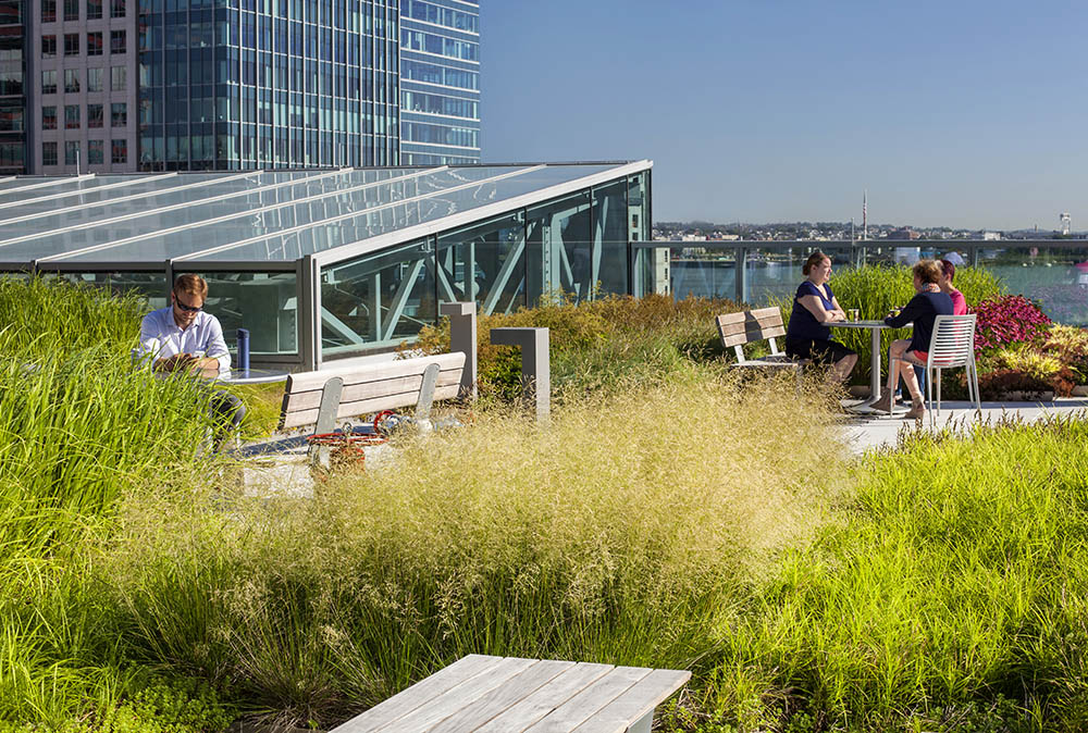 波士顿海港广场绿色屋顶花园丨美国波士顿丨Copley Wolff 设计集团-6