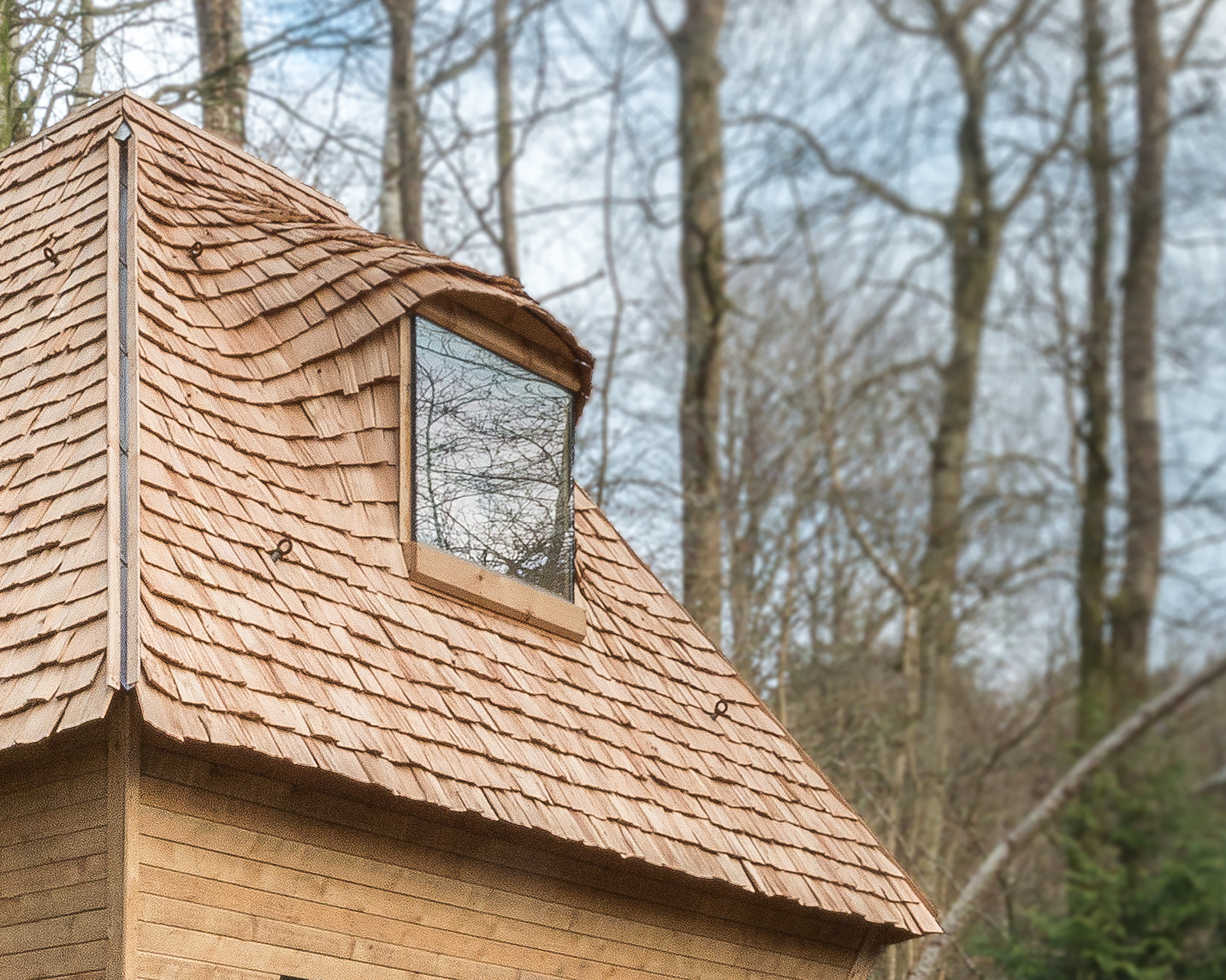 林地小屋丨英国丨AA Design and Make-11