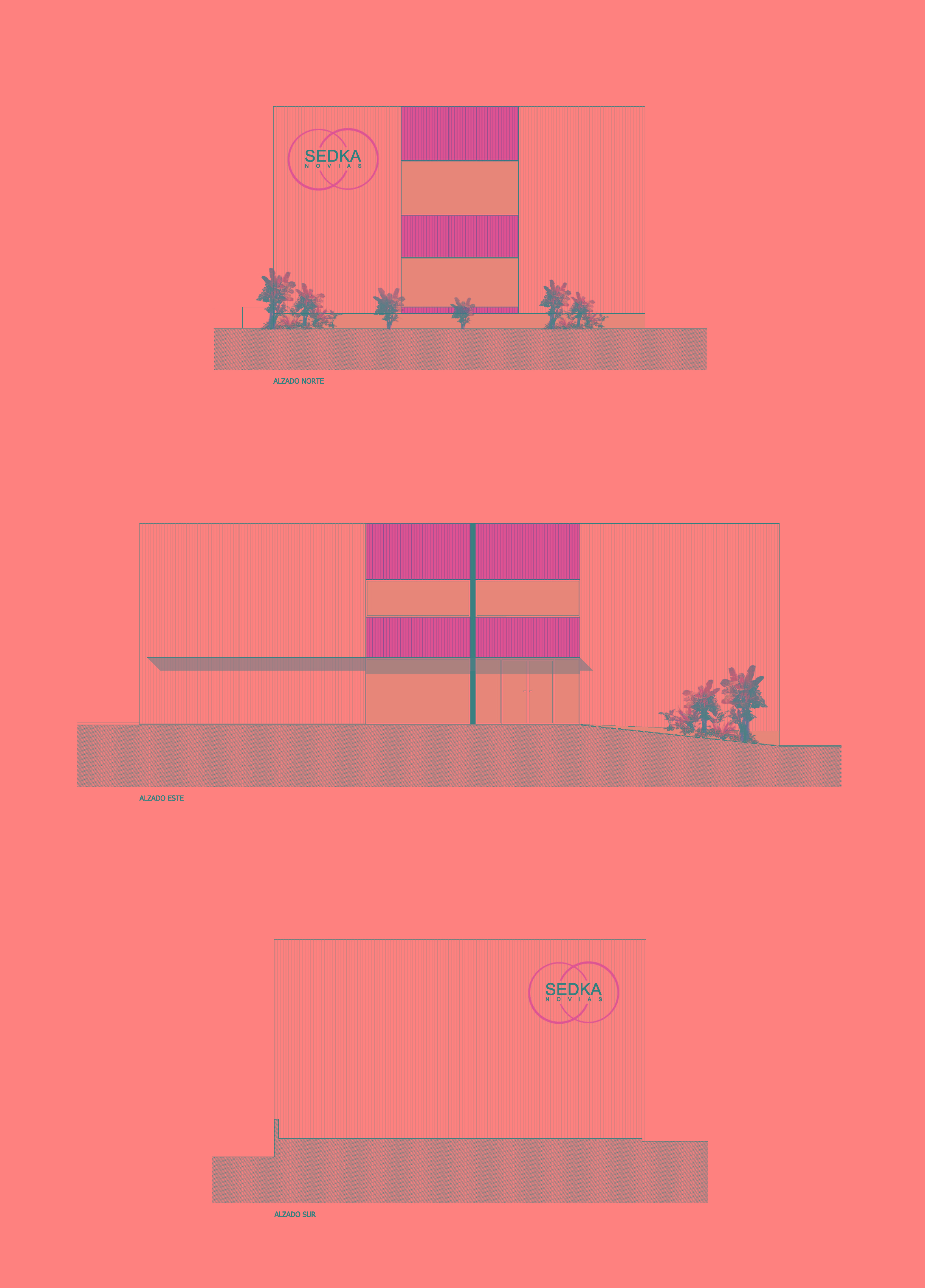 塞德卡·诺维亚斯-33