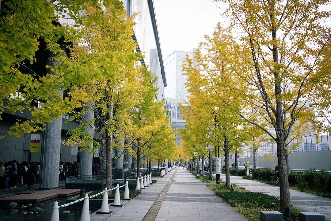 日本关西枫季 | 传统与现代的完美融合-101