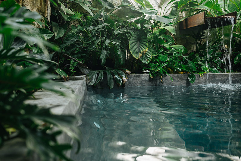 墨西哥图伦绿色环绕的异域别墅-16