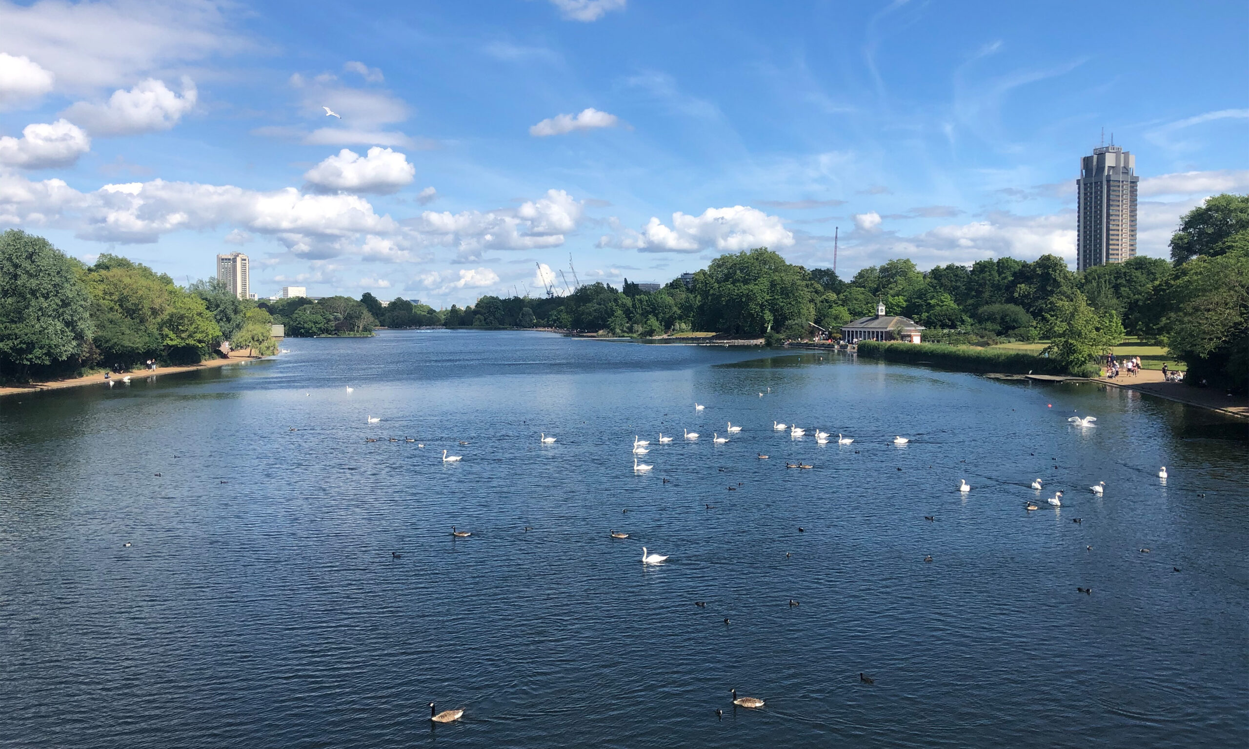 
			 Royal Parks Framework Competition			-1