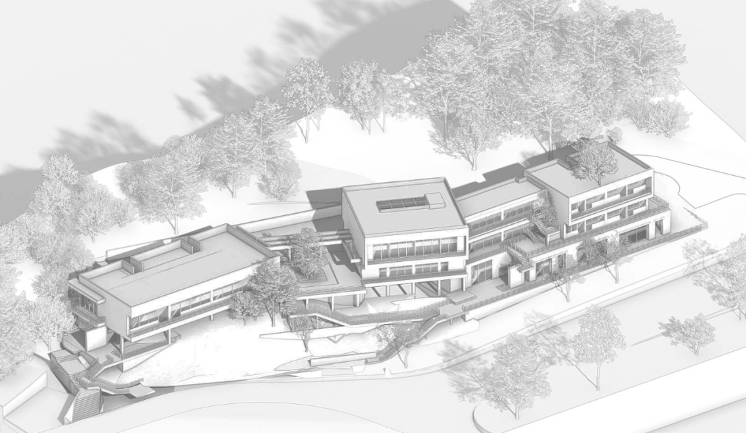 因石而立栖木为生|我院设计的浙江农林大学古树名木保护研究院奠基开工！-39