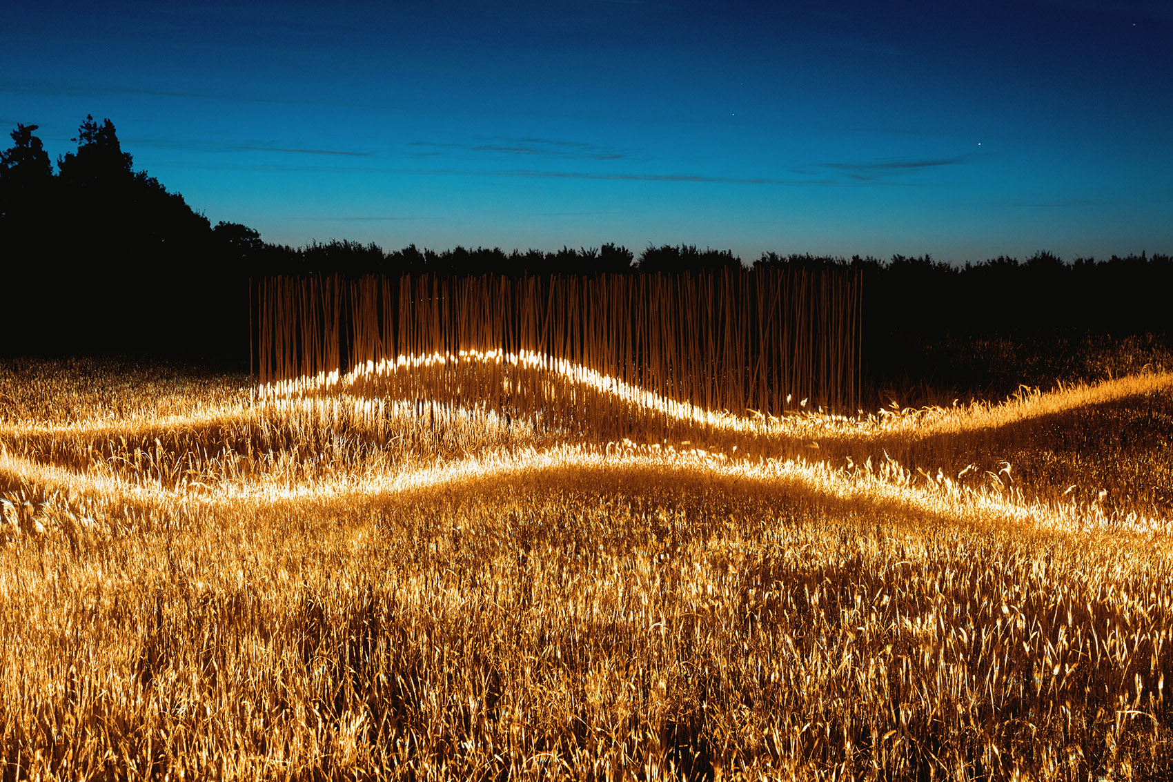 Phorest灯光装置丨1024 architecture-6