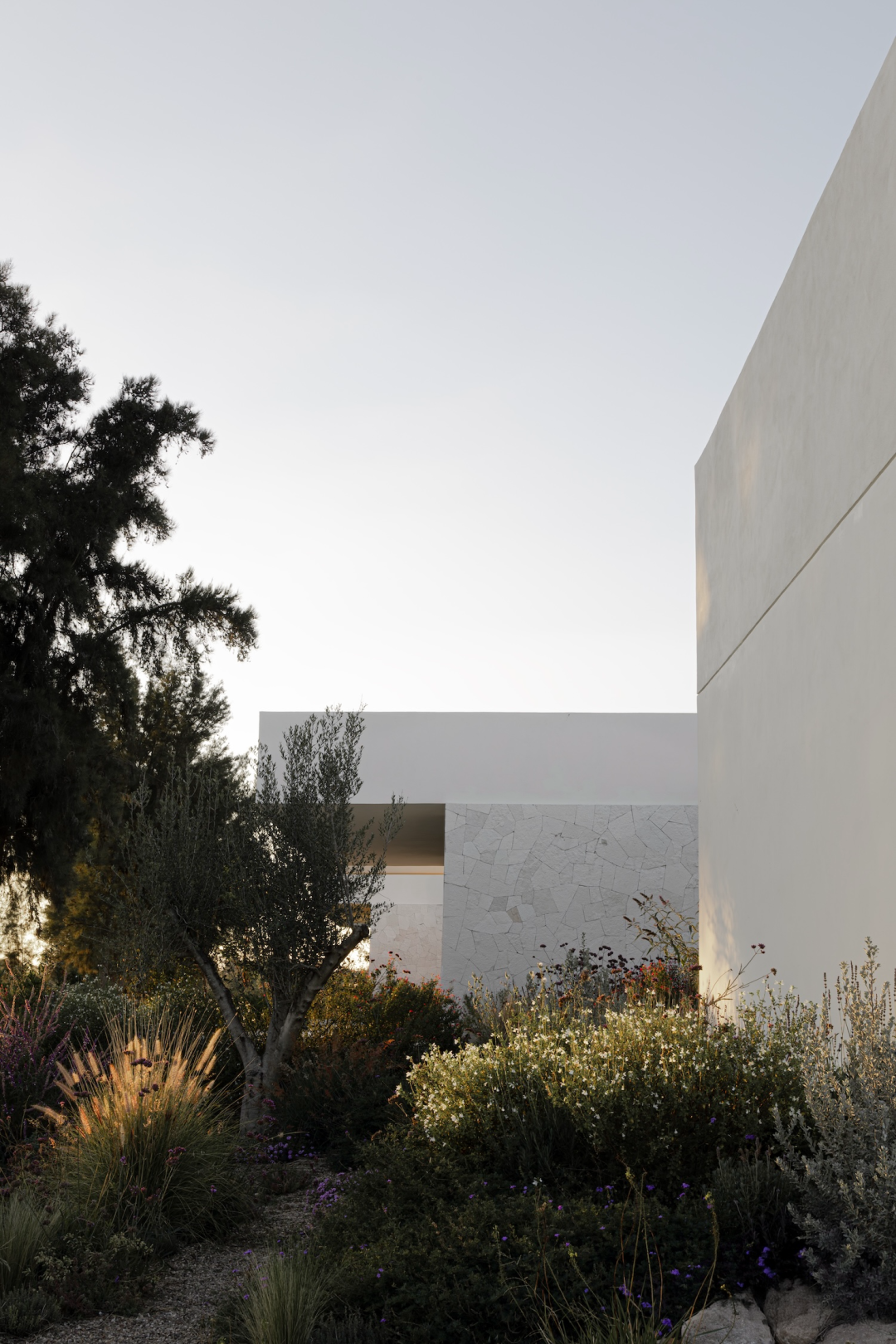 西恩古埃塔之家丨墨西哥丨Max von Werz,Ted Wolter-75