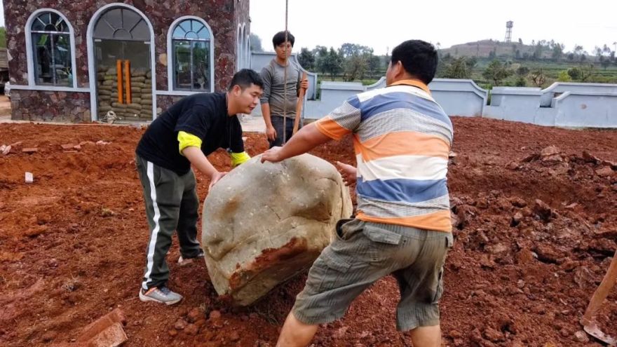 英德红茶小镇头采节展示区 -27