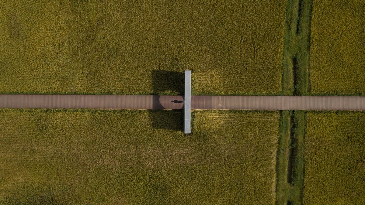 艾米未来农业文旅小镇丨加减智库-19