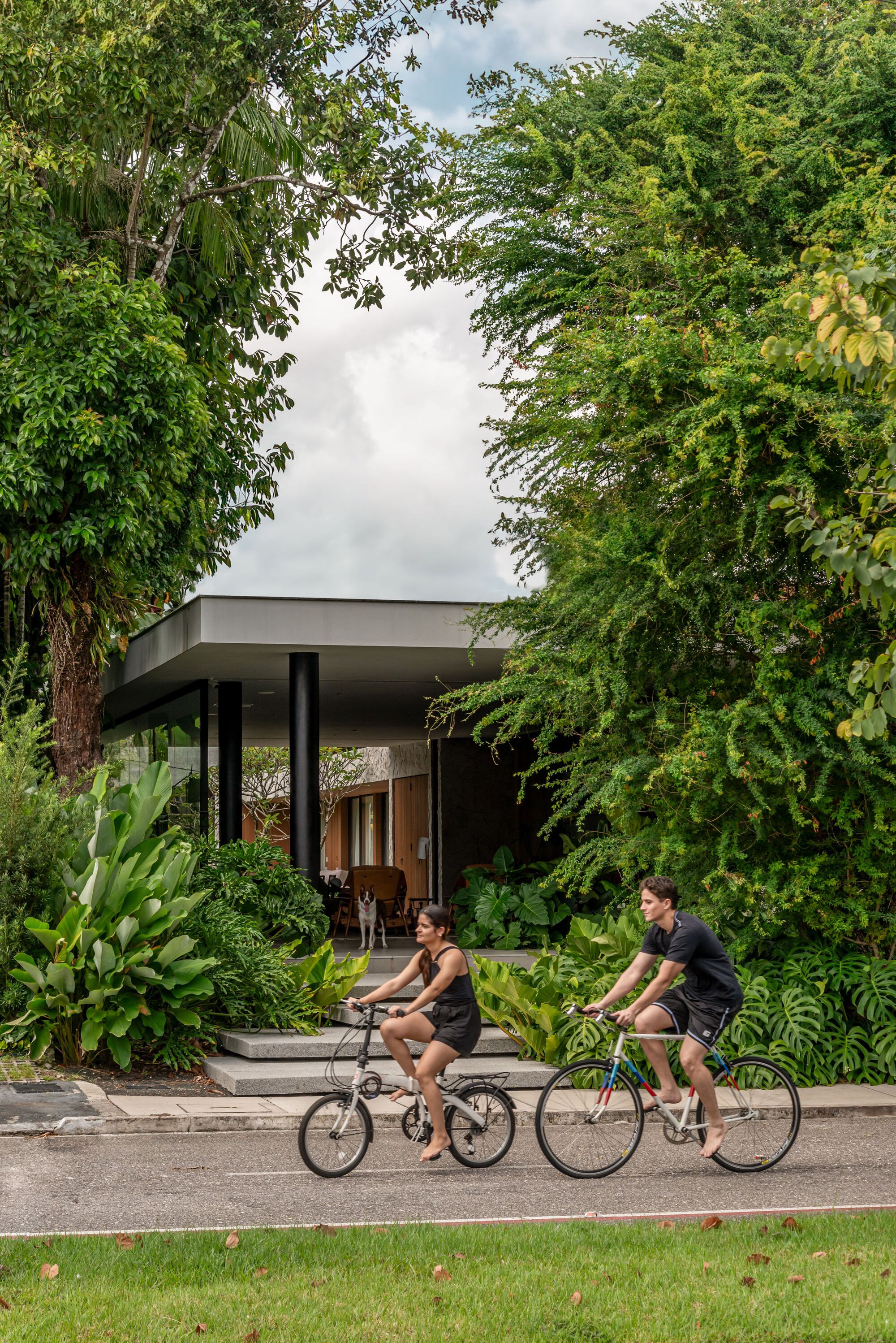 丨巴西丨studio gm-39