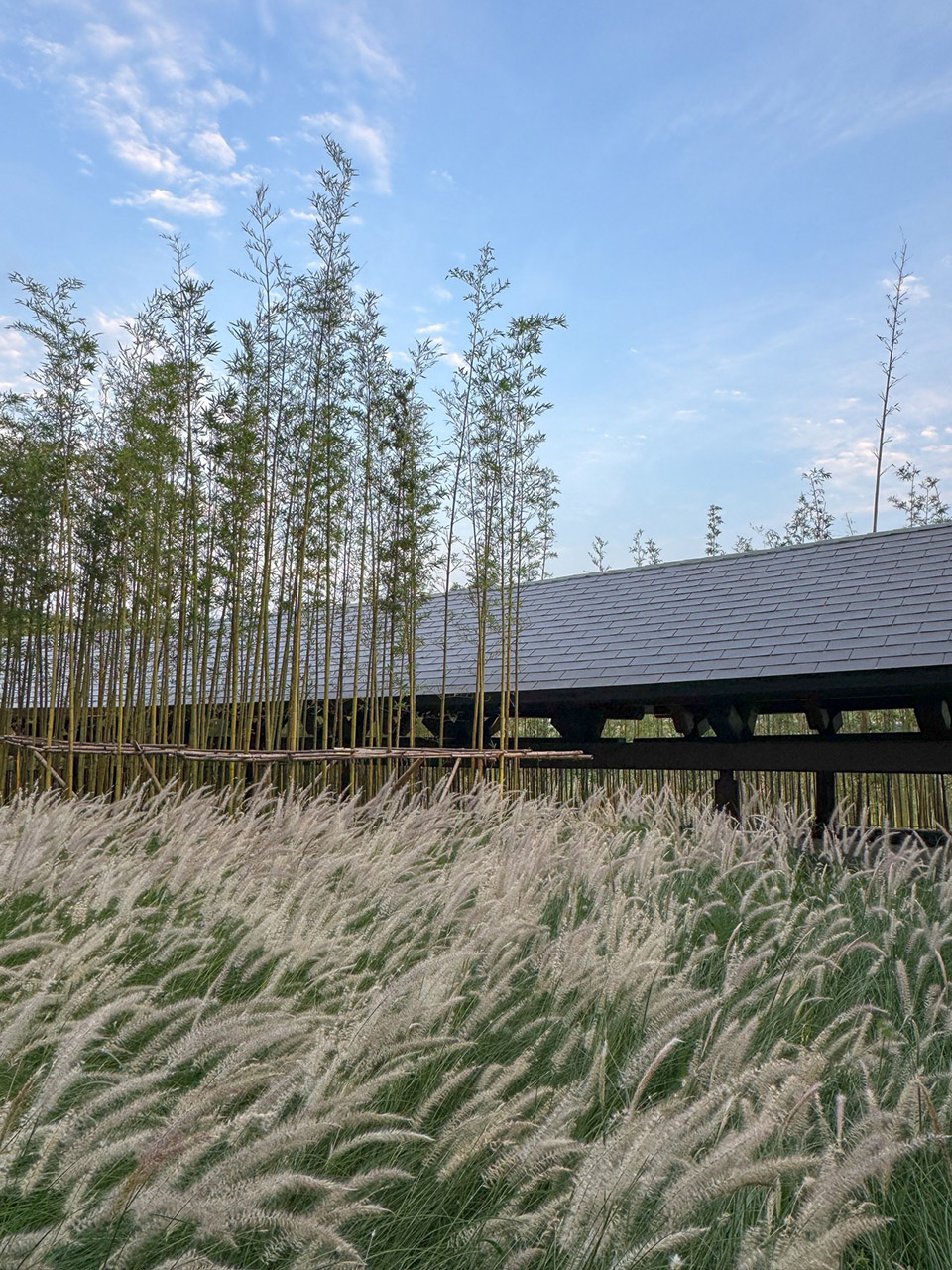 “龙脊”地中海黑龙滩度假酒店丨中国眉山丨AIM恺慕建筑设计-40