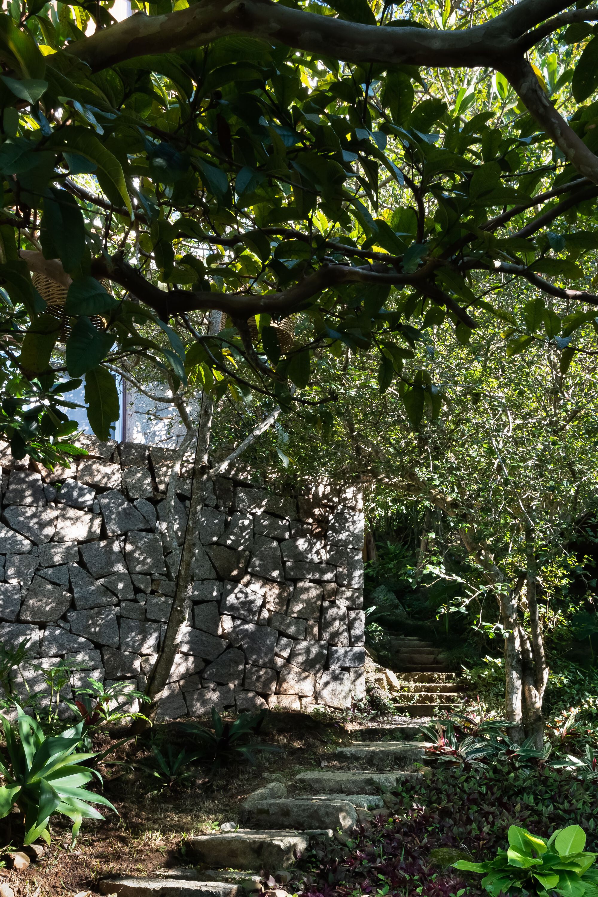 Casa da Silveira 住宅翻新与扩建丨巴西丨Trika Arquitetura-35