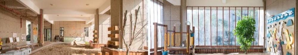 月湖幼儿园 | 打造孩子的自由成长天地-30