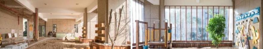 月湖幼儿园 | 打造孩子的自由成长天地-30