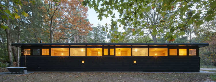 森林中的“阳光假日”-2