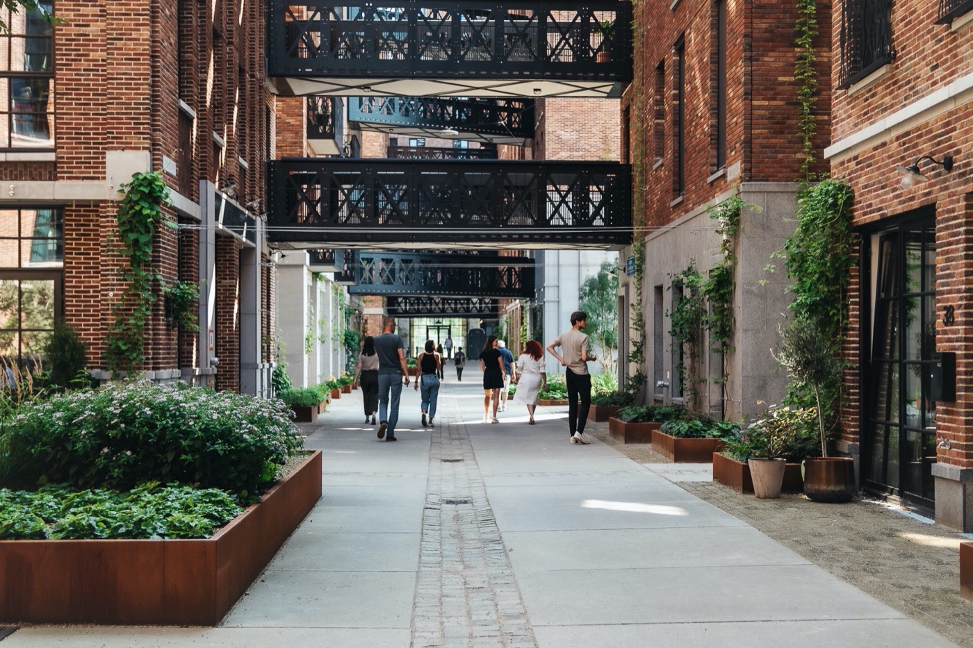 绿意盎然的小 C · Rotterdam 城市新地标丨荷兰鹿特丹-21