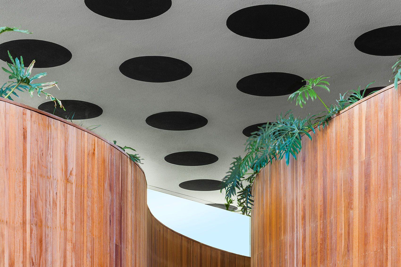 英国创意艺术大学(巴西圣保罗校区)/ FORM-43