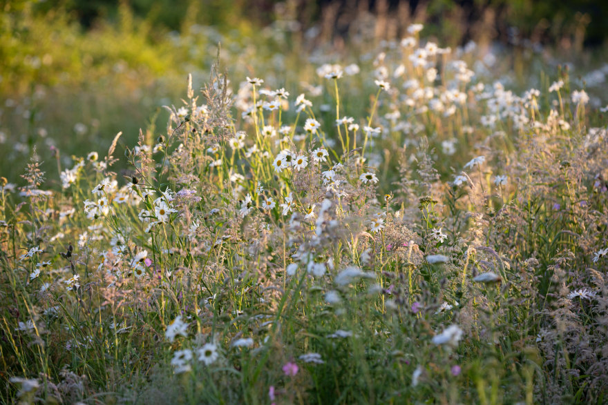 诗意中游弋 | Colm Joseph-112
