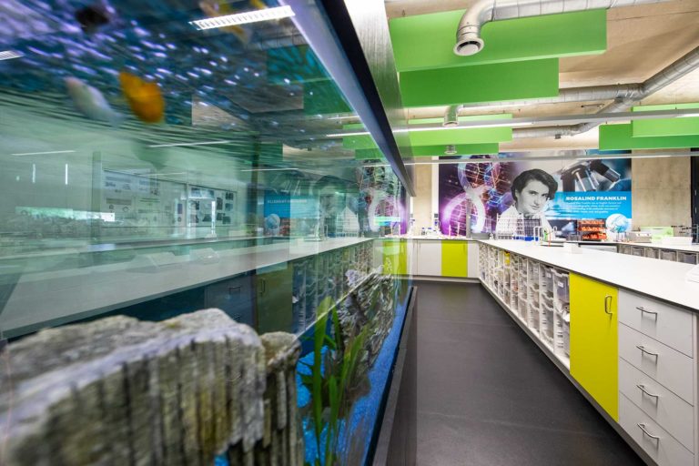 Westminster Academy Refurbishment Programme - Envoplan-19