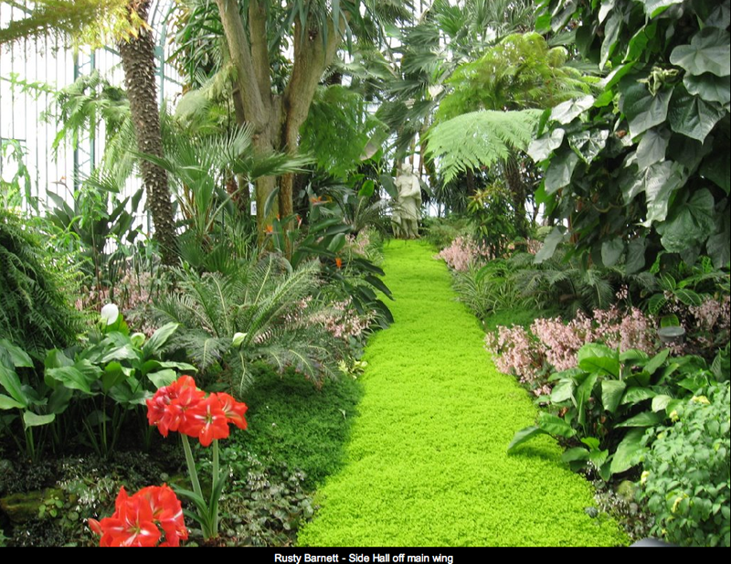 Magiche serre reali di Laeken (Bruxelles) | theouterthebetter-28